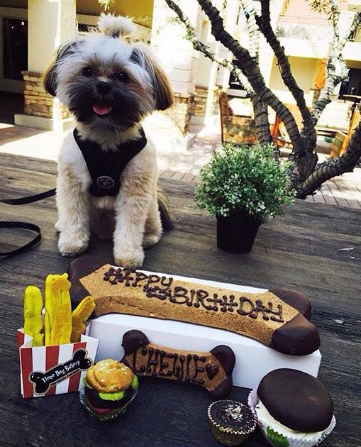 Photo courtesy of Three Dogs Bakery Del Mar