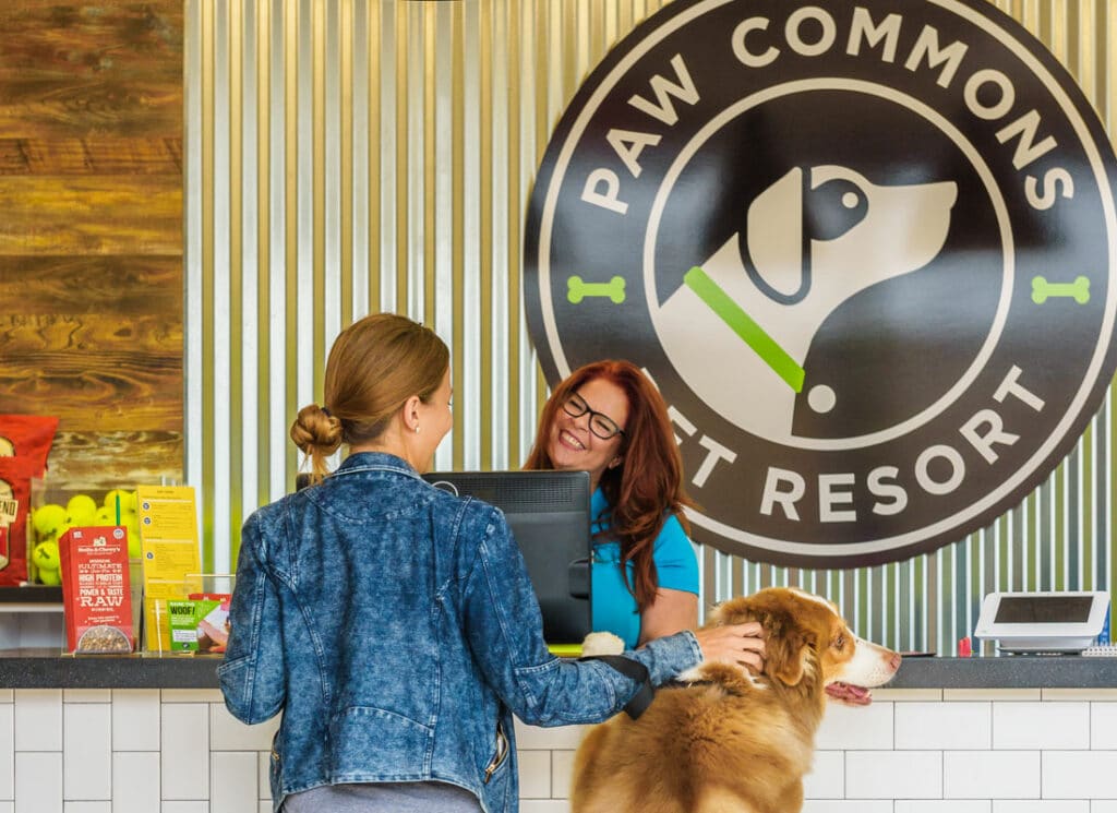 paw commons holiday dog lodging