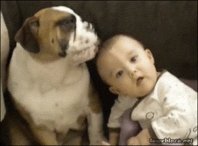 Dog Licking Child