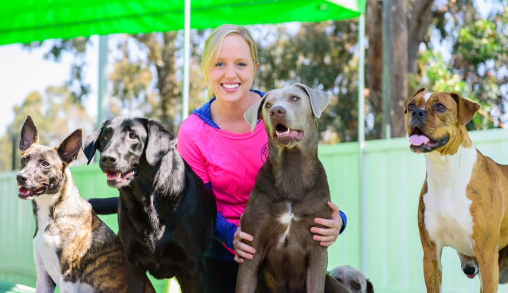 Christie with Dogs