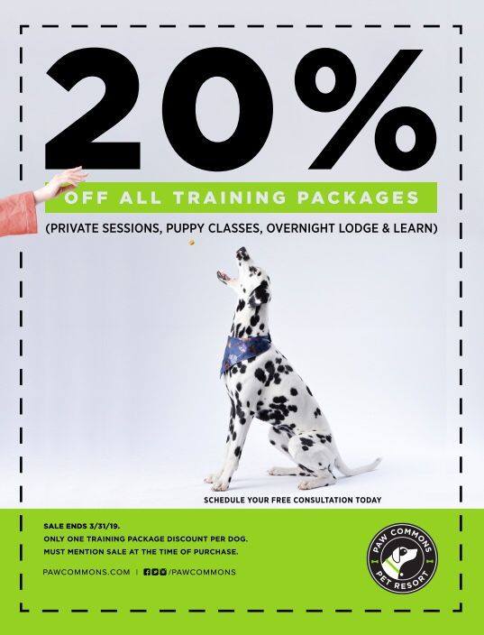 paw_commons_march_training_20_percent_off march-sale-20%-off