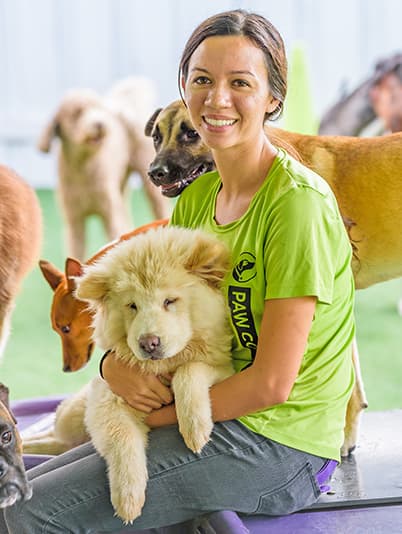 Paw Commons employee holding a dog on her lap