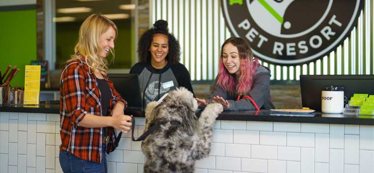 Dog checking in for boarding