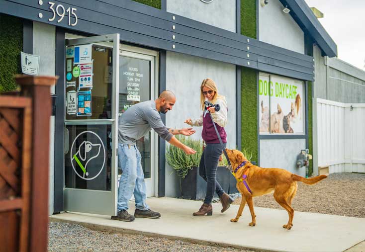 Staff greeting a dog at the front door