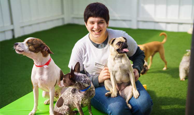 Staff with a dog on her lap