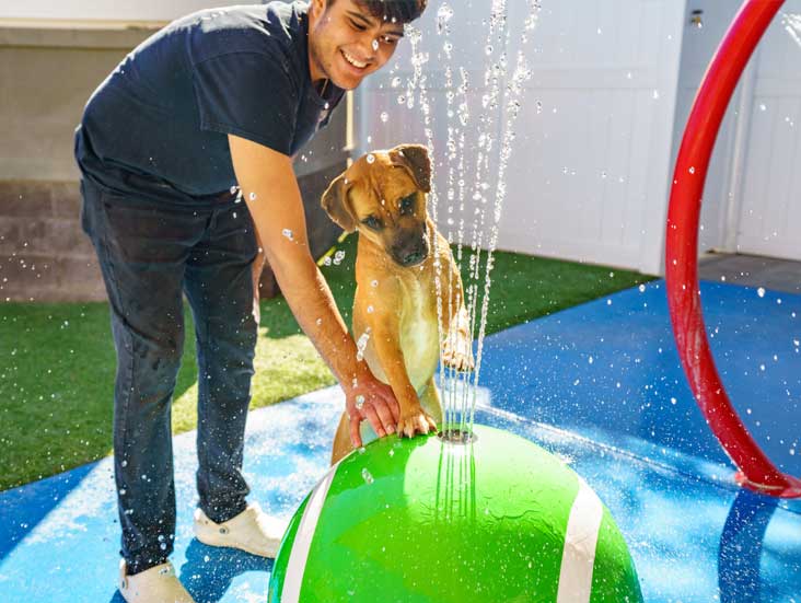 Man and dog playing in the fountain