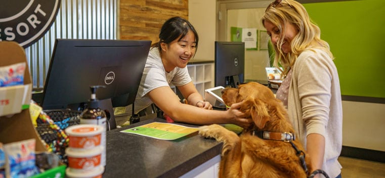 Dog and owner at the front desk