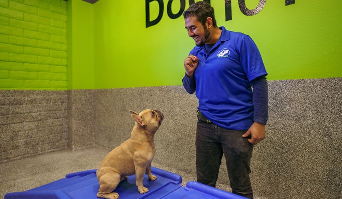 Dog trainer with small dog