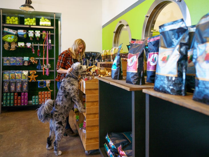 Dog and owner in the retail space