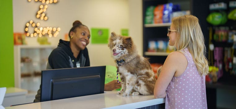Dog and owner at the front desk
