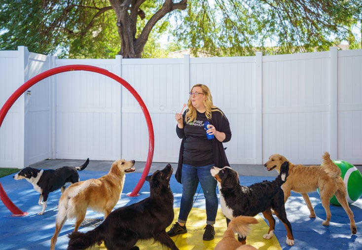 Blowing bubbles for the dogs