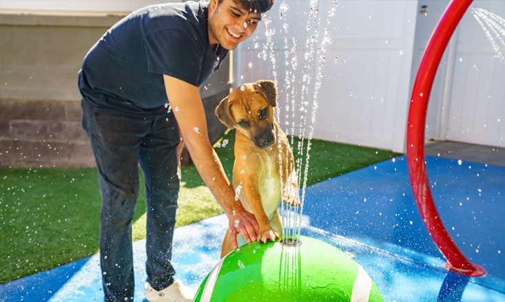 Puppy playing in the fountain