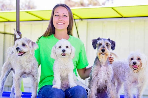 paw commons staff member with dogs