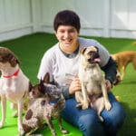 Staff playing with dogs in daycare