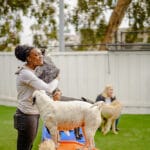 Staff hugging a dog in daycare