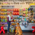 Dog and owner in the retail store