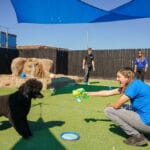 Woman blowing bubbles to a dog