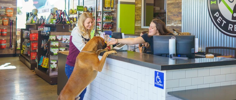 bay-park-location-image-1a Dog and owner at the front desk