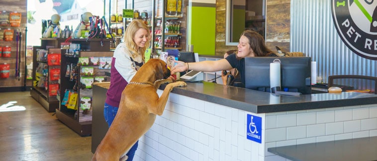 Dog and owner at the front desk