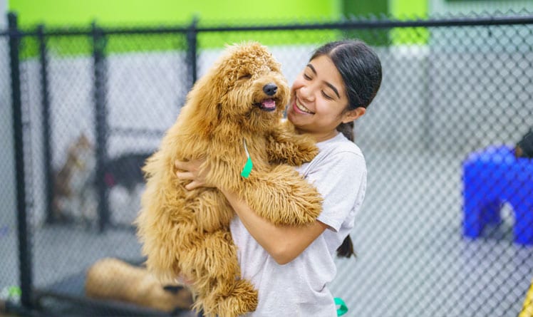 Staff holding a happy dog