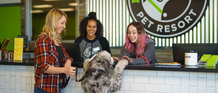 Dog nd owner at the front desk