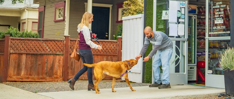 Dog and owner greeted at the front door