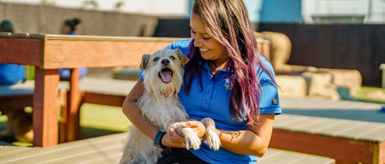 Woman holding a happy dog