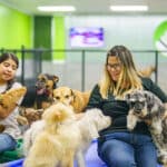 bay park staff members with dogs