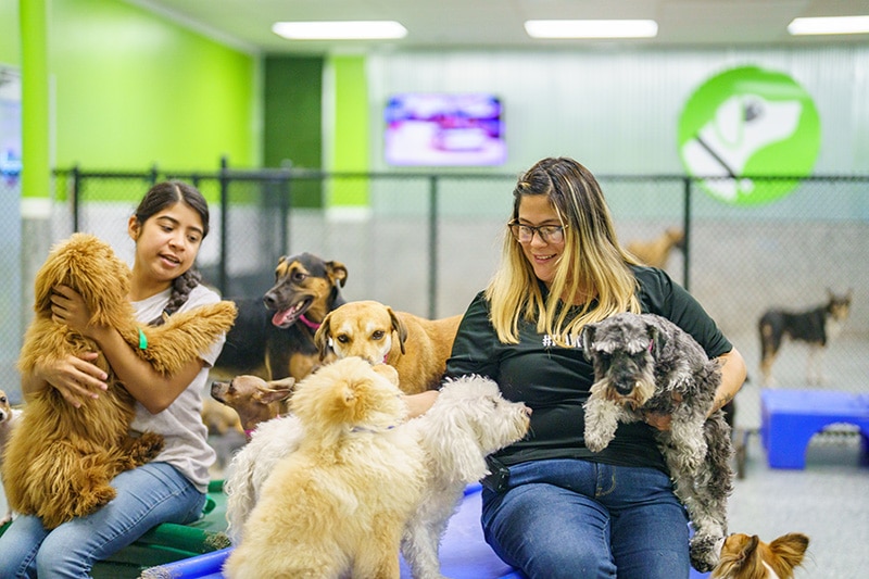 bay park staff members with dogs