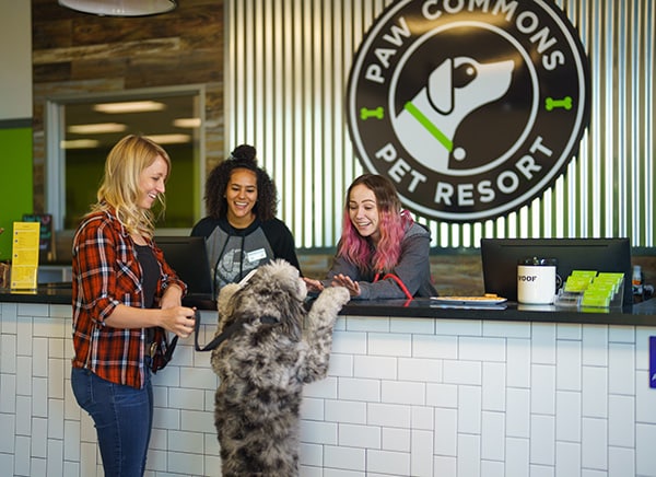 paw commons pet resort lobby