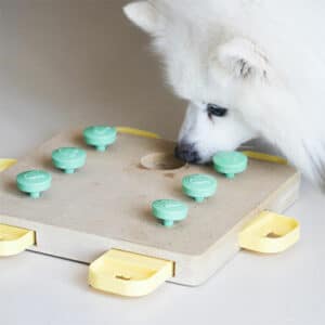 Dog using puzzle feeder