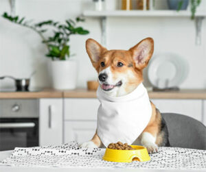 Dog with a bowl of dog food