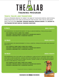 The Lab Training Program Flyer