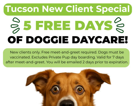 Tucson Location 5 Free Days of Daycare for New Clients