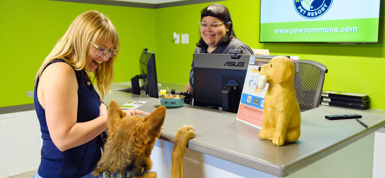 Dog checking in at the front desk