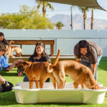 tucson-gallery-1