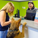 tucson-gallery-2